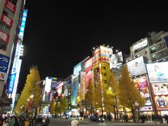 -秋叶原电器街