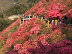 -木兰云雾山