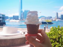 -富豪雪糕车流动点(尖沙咀店)