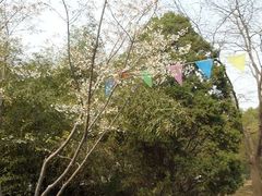 -丰台花园