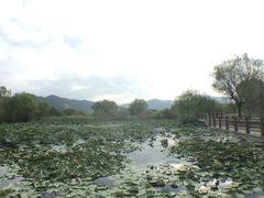 -长兴太湖图影湿地文化园