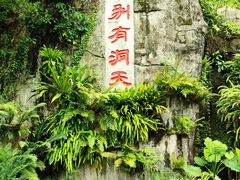 -深圳仙湖植物园