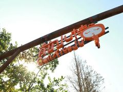 -前小桔亲子创意农场·草莓采摘·露营烧烤