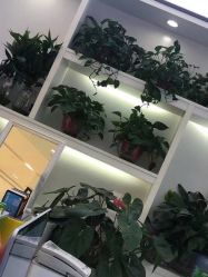点击看大图 -痘敏医生专业祛痘连锁