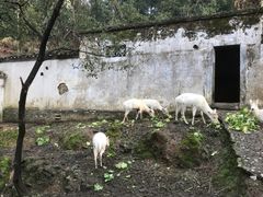 -白鹿洞书院