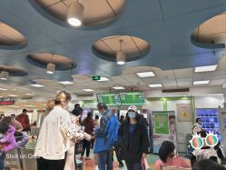 -首都医科大学附属北京儿童医院