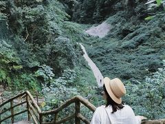 -重庆武隆天生三桥风景区-神鹰天坑