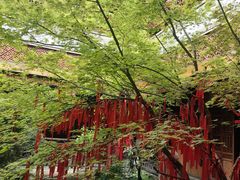 -武汉园博园(武汉自然博物馆)