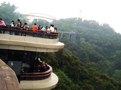 -金鸡山公园