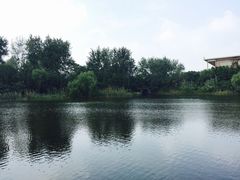 -溱湖国家湿地公园