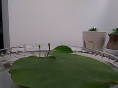 -成飞公园