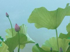 -新安江山水画廊风景区
