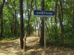 -渡海小渔村.老辈日照菜