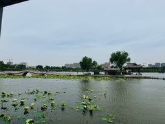 -济南大明湖景区