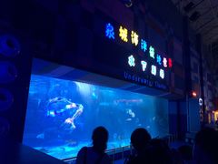 -泉城欧乐堡海洋极地世界