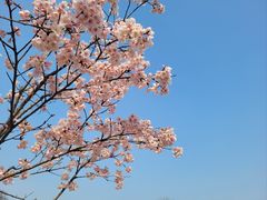 -上海辰山植物园