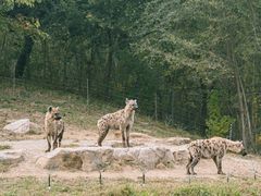 -北京野生动物园