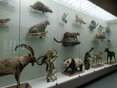 -国家自然博物馆