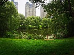 -长白岛森林公园