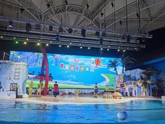 -三亚海昌梦幻海洋不夜城