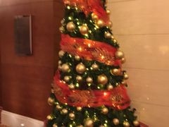 -上海雅居乐万豪侯爵酒店