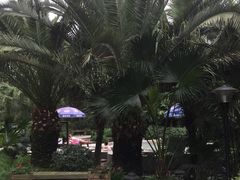 -鱼凫国都大酒店温泉
