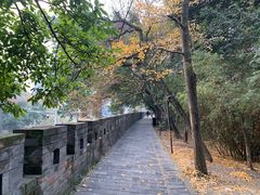 -房湖公园