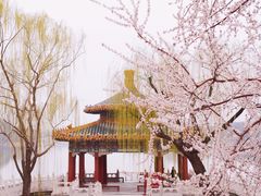 -北海公园