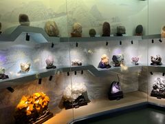 -甘肃地质博物馆