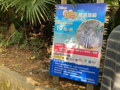 -深圳野生动物园
