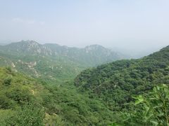 -大岭沟猕猴桃谷风景区