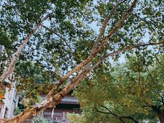 -鼓楼(西湖风景名胜区)