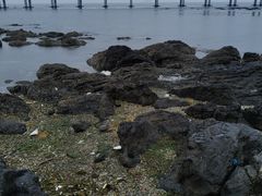 -黑石礁公园