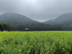 -广州市石门国家森林公园
