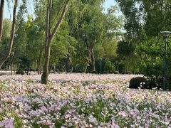 -长广溪湿地公园