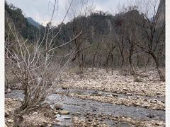 -楠溪江石桅岩