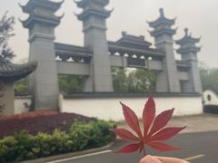 -风味小馆(天目湖宾馆店)