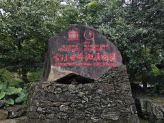 -海口火山口国家地质公园