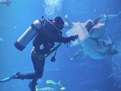 -太平洋海底世界