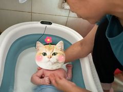 -家家月嫂(龙华总店)