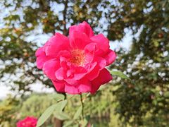 -西安汉城湖景区