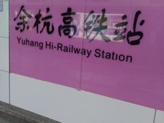 -临平南高铁站(地铁站)