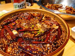 磁器口毛血旺-川天喉重庆江湖菜