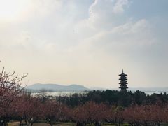 -云龙山