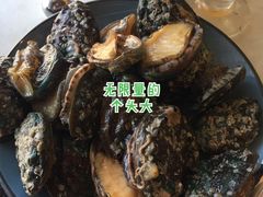 小鲍鱼-喜庭海鲜自助(来福士店)