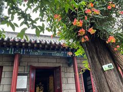 -青岛崂山太清宫