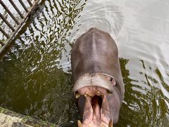 -海南热带野生动植物园