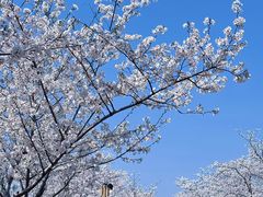 -长田漾湿地公园