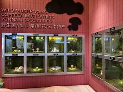 -芸山季·云南野生菌火锅(宝能环球汇店)