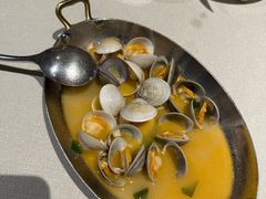 -一棵树·意大利西餐厅One Tree(新城店)